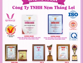 Mua nệm Thắng Lợi chính hãng ở đâu uy tín?
