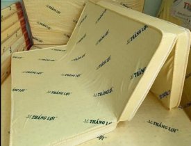10 Thông Tin Không Nên Bỏ Qua Khi Mua Nệm Thắng Lợi Chính Hãng  