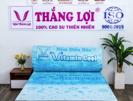 Thương hiệu nệm Thắng Lợi có tốt không? Có nên mua không?