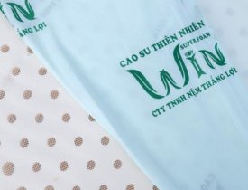 Các dòng nệm Thắng Lợi được ưa chuộng