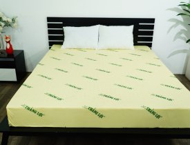 Mua Nệm Thắng Lợi Cần Kiểm Tra Những Thông Tin Gì?
