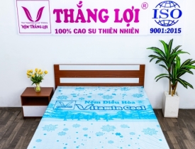 Review top 3 mẫu nệm Thắng Lợi  bán chạy nhất năm 2025