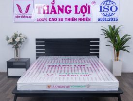 Top 5 loại nệm Thắng Lợi bán chạy nhất hiện nay