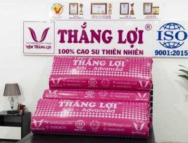 Khuyến Mãi Mua Nệm Thắng Lợi Chính Hãng