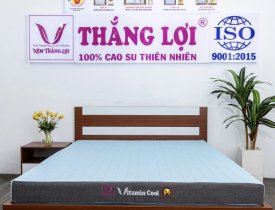 Nệm điều hòa Thắng Lợi Vitamin cool