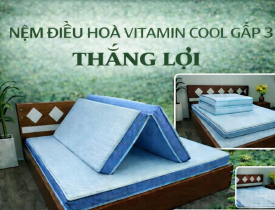 Review giá nệm điều hòa Vitamin Cool gấp 3 Thắng Lợi 