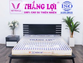 Nệm cao su Gold Latex Thắng Lợi 20cm, phù hợp cho ai?