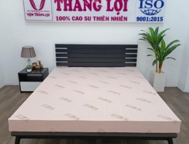 Nệm cao su thiên nhiên Thắng Lợi SiSi – Advanced 