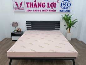 Nệm cao su thiên nhiên Thắng Lợi SiSi Advanced, có tốt không? 