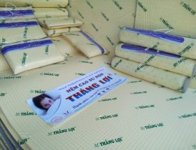 Tìm hiểu nhà phân phối nệm cao su non thiên nhiên tại hcm