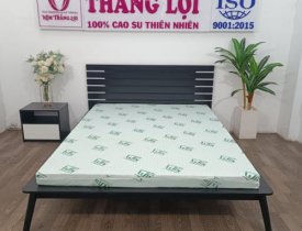 Bảng giá nệm Super Win Thắng Lợi 1m2 cập nhật năm 2026