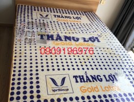 Nên mua nệm cao su non thắng lợi tại TPHCM ở đơn vị nào?  