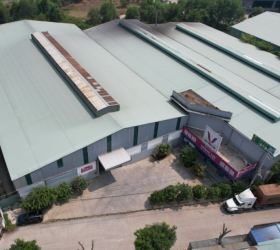  Mua Nệm Thắng Lợi Chính Hãng Ở Đâu, Chất Lượng?