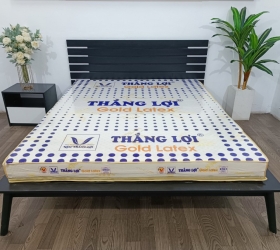 Kinh nghiệm chọn nệm cao su tổng hợp Gold Latex Thắng Lợi
