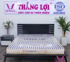 Trọn vẹn giấc ngủ nệm cao su Thắng Lợi Gold Latex