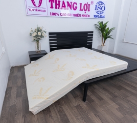 Nệm cao su Gold Latex có thực sự tốt cho giấc ngủ không?