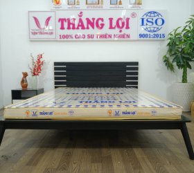 Nệm Cao Su Gold Latex Thắng Lợi 1m6 Giá Bao Nhiêu