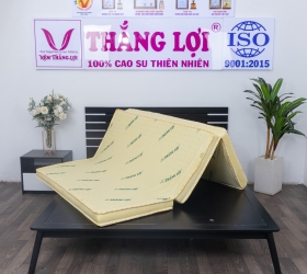 Gợi ý 6 dòng nệm cao su non được ưa chuộng hiện nay