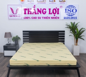 Top 4 mẫu nệm cao su non dày 20cm của Thắng Lợi