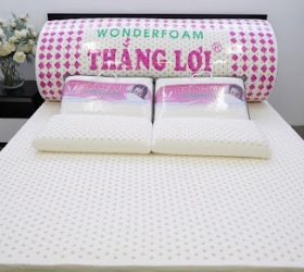 Đại lý nệm Thắng Lợi chính hãng