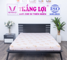 Nệm Super Win Foam có điểm gì đặc biệt so với các sản phẩm khác? 