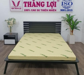 Top 3 nệm cao su non Thắng Lợi được ưa chuộng hiện nay