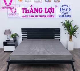 Nệm cao su thiên nhiên Thắng Lợi có những loại nào?