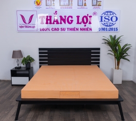  Nệm Cao Su Thiên Nhiên 100% Thắng Lợi SuSu - Original 