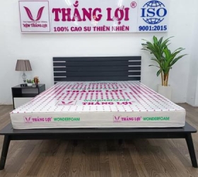 Review nệm cao su wonder foam Thắng Lợi 