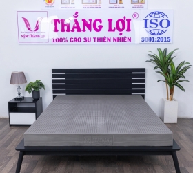 Review nệm cao su thiên nhiên Thắng Lợi BoBo-Than hoạt tính 