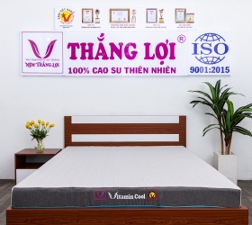 Nệm đêu hòa Thắng Lợi Vitamin Cool Grey 