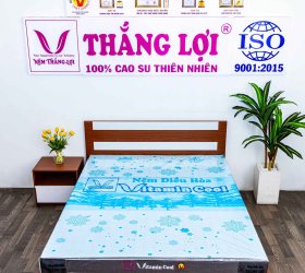 So sánh nệm điều hoà Vitamin Cool và nệm foam – Loại nào tốt hơn? 