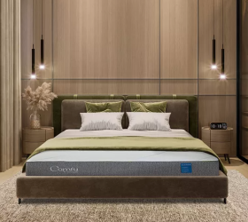 Nệm foam Comfy Cloud 2.0 siêu đàn hồi