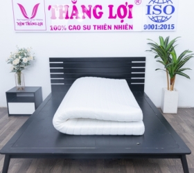 Top 3 nệm foam Thắng Lợi được yêu thích nhất năm 2023