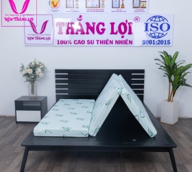  Top 6 loại nệm gấp 3 Thắng Lợi được ưa chuộng nhất hiện nay