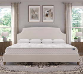 Nệm cao su Thiên Nhiên 100% Thắng Lợi 2m x 2m2 phù hợp với loại giường nào?