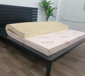 Nệm cao su thiên nhiên SiSi Advanced Thắng Lợi