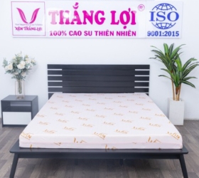 Nệm Super Win Foam Thắng Lợi