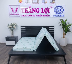 Giá Nệm Cao Su Thiên Nhiên Super Win Gấp 3 Thắng Lợi