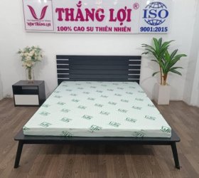 Nệm Super Win Thắng Lợi Phù Hợp Với Ai? 