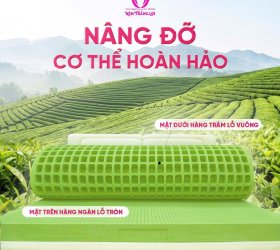 Bảng giá nệm Tea Plus Matcha Cool mới nhất 