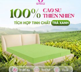 Những Điều Cần Biết Nệm Tea Plus Matcha Cool Thắng Lợi 