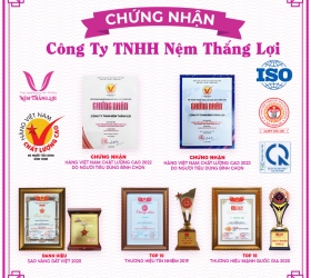 Mua nệm Thắng Lợi chính hãng ở đâu uy tín?