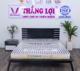 Tổng kho phân phối nệm Thắng Lợi chính hãng tại TP HCM