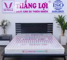 Top 5 loại nệm Thắng Lợi bán chạy nhất hiện nay