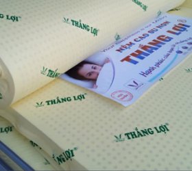 Các Dòng Nệm Thắng Lợi Đáng Chọn Hiện Nay 