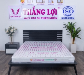 Review chi tiết các dòng sản phẩm của Thắng Lợi