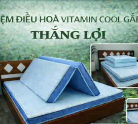 Review giá nệm điều hòa Vitamin Cool gấp 3 Thắng Lợi 