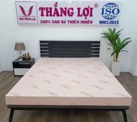 Nệm cao su thiên nhiên Thắng Lợi SiSi – Advanced 