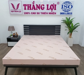 Nệm cao su thiên nhiên Thắng Lợi SiSi Advanced, có tốt không? 